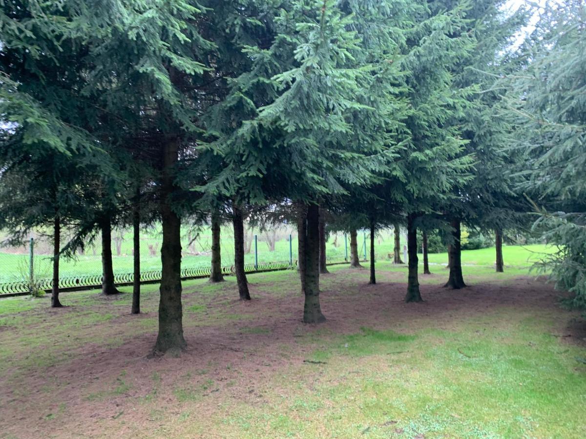 Domki Nad Stawem Uherce Uherce Mineralne Dış mekan fotoğraf