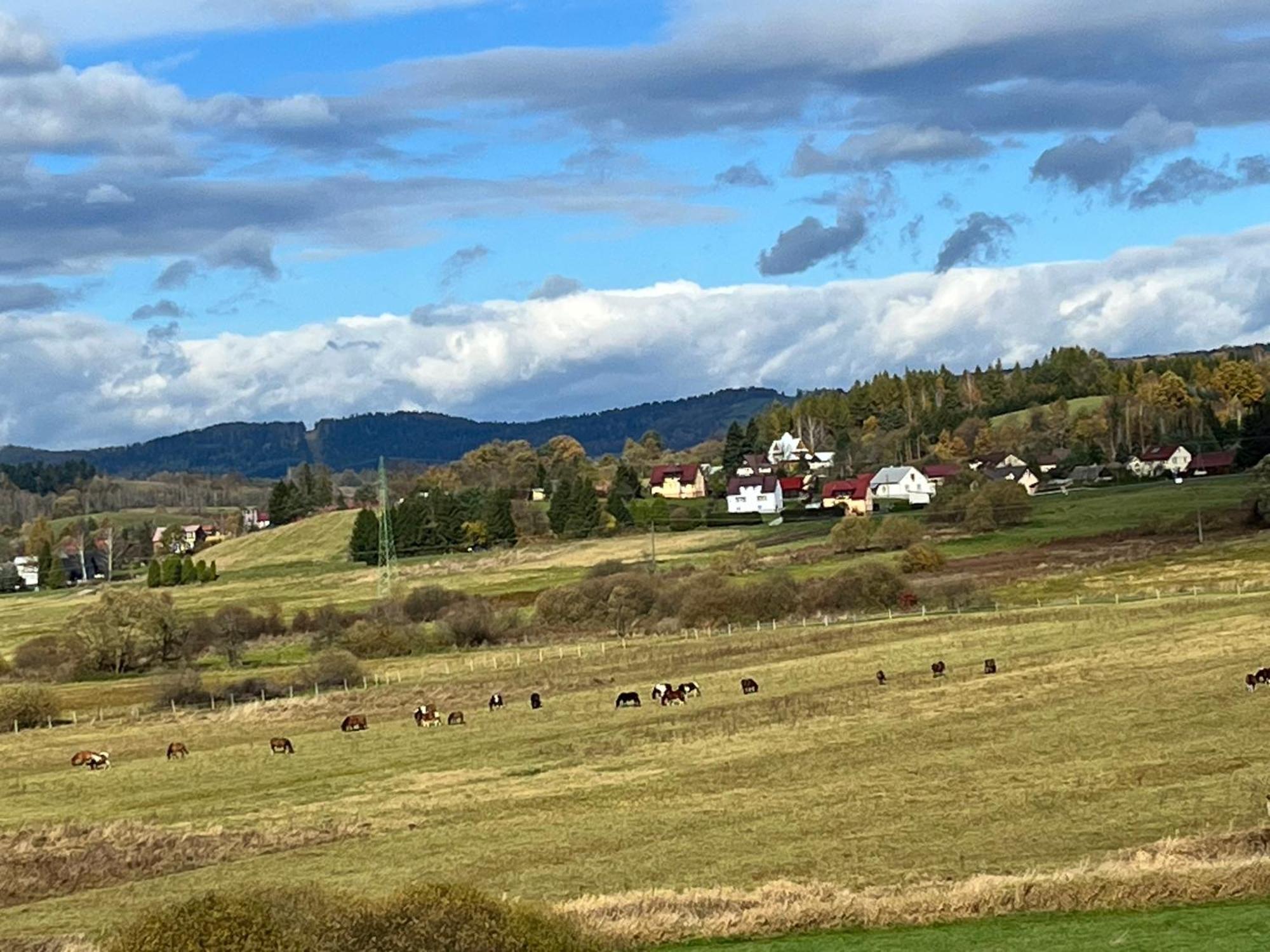 Domki Nad Stawem Uherce Uherce Mineralne Dış mekan fotoğraf